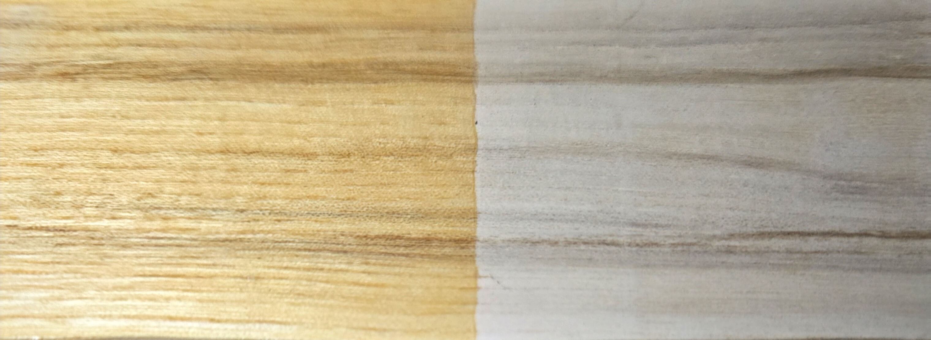 Salted Hackberry